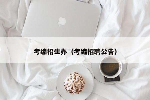 考编招生办（考编招聘公告）