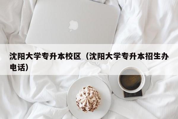 沈阳大学专升本校区（沈阳大学专升本招生办电话）