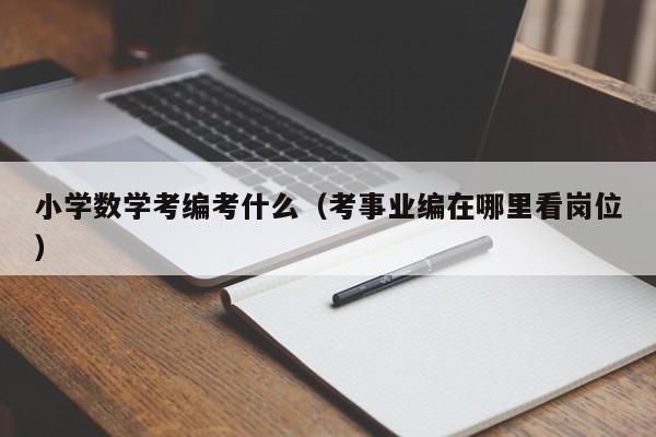 小学数学考编考什么（考事业编在哪里看岗位）