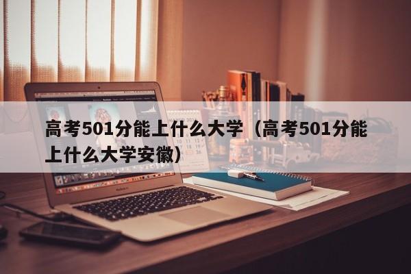 高考501分能上什么大学（高考501分能上什么大学安徽）