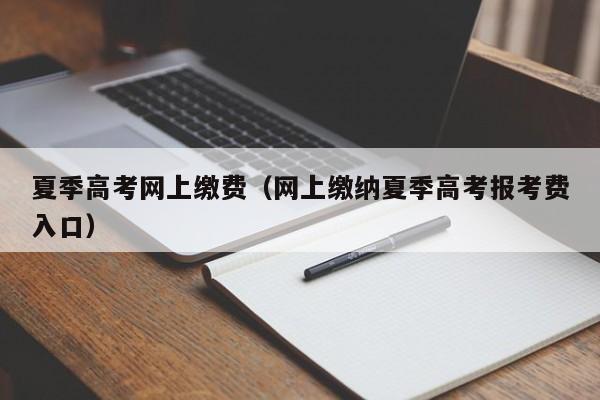 夏季高考网上缴费（网上缴纳夏季高考报考费入口）