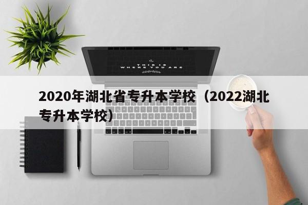 2020年湖北省专升本学校（2022湖北专升本学校）