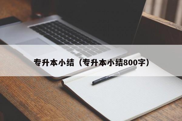 专升本小结（专升本小结800字）