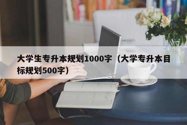 大学生专升本规划1000字（大学专升本目标规划500字）